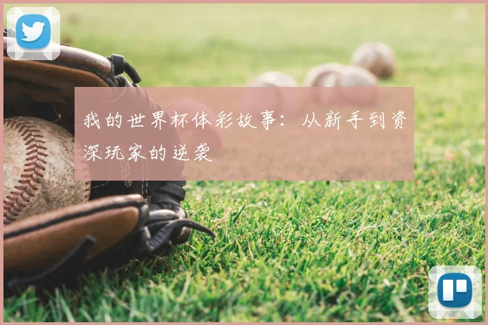 我的世界杯体彩故事：从新手到资深玩家的逆袭