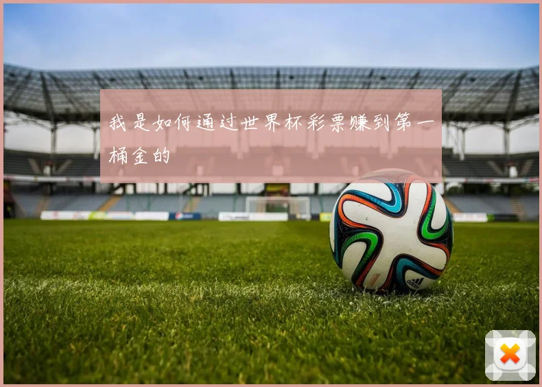 我是如何通过世界杯彩票赚到第一桶金的