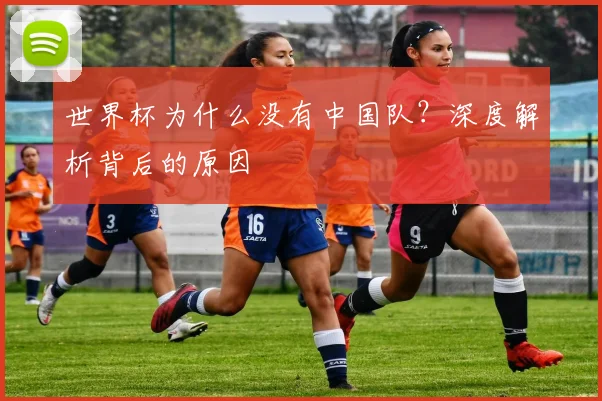 世界杯为什么没有中国队？深度解析背后的原因