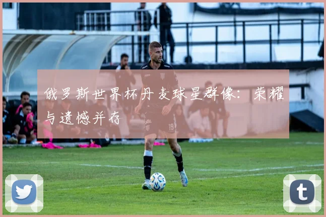 俄罗斯世界杯丹麦球星群像：荣耀与遗憾并存