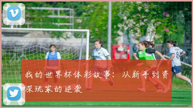 我的世界杯体彩故事：从新手到资深玩家的逆袭