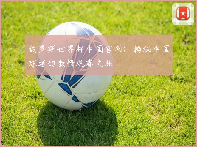 俄罗斯世界杯中国官网：揭秘中国球迷的激情观赛之旅