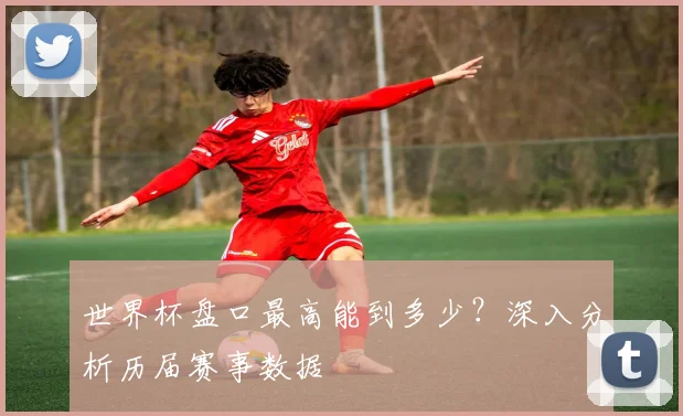 世界杯盘口最高能到多少？深入分析历届赛事数据