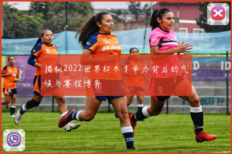 揭秘2022世界杯冬季举办背后的气候与赛程博弈